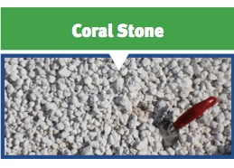 Coral Stone
