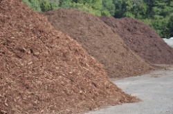 Leader among mulch suppliers in South Carolina