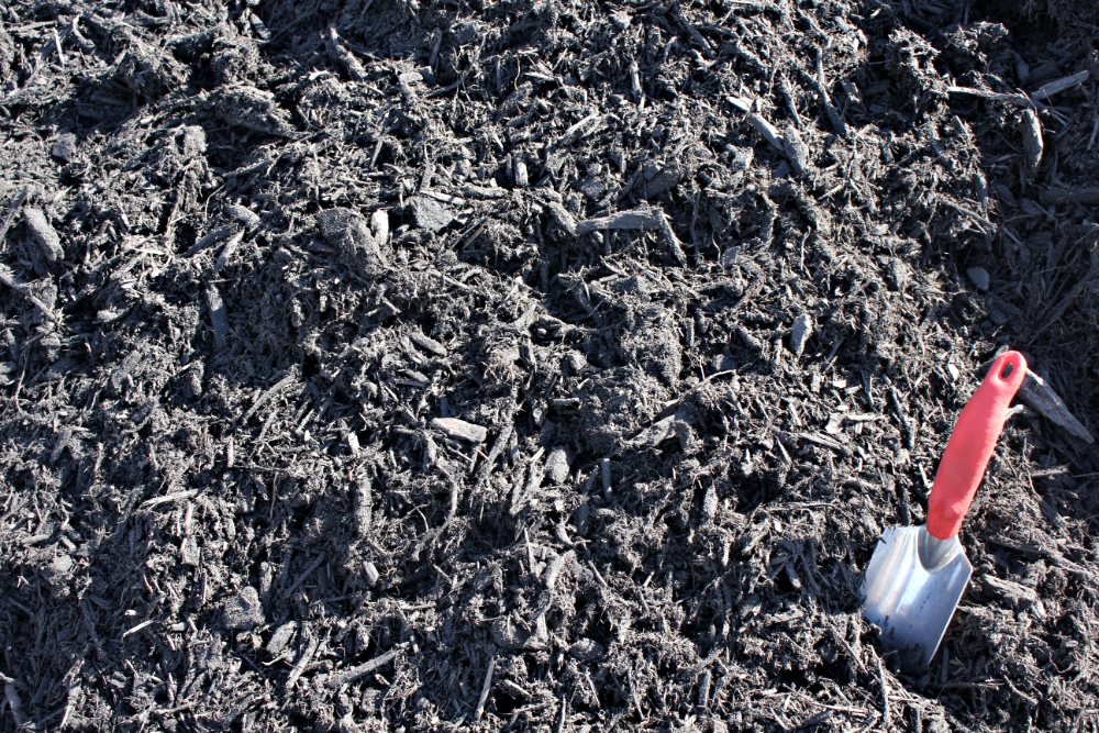 Forest Black™ Mulch - Image 3